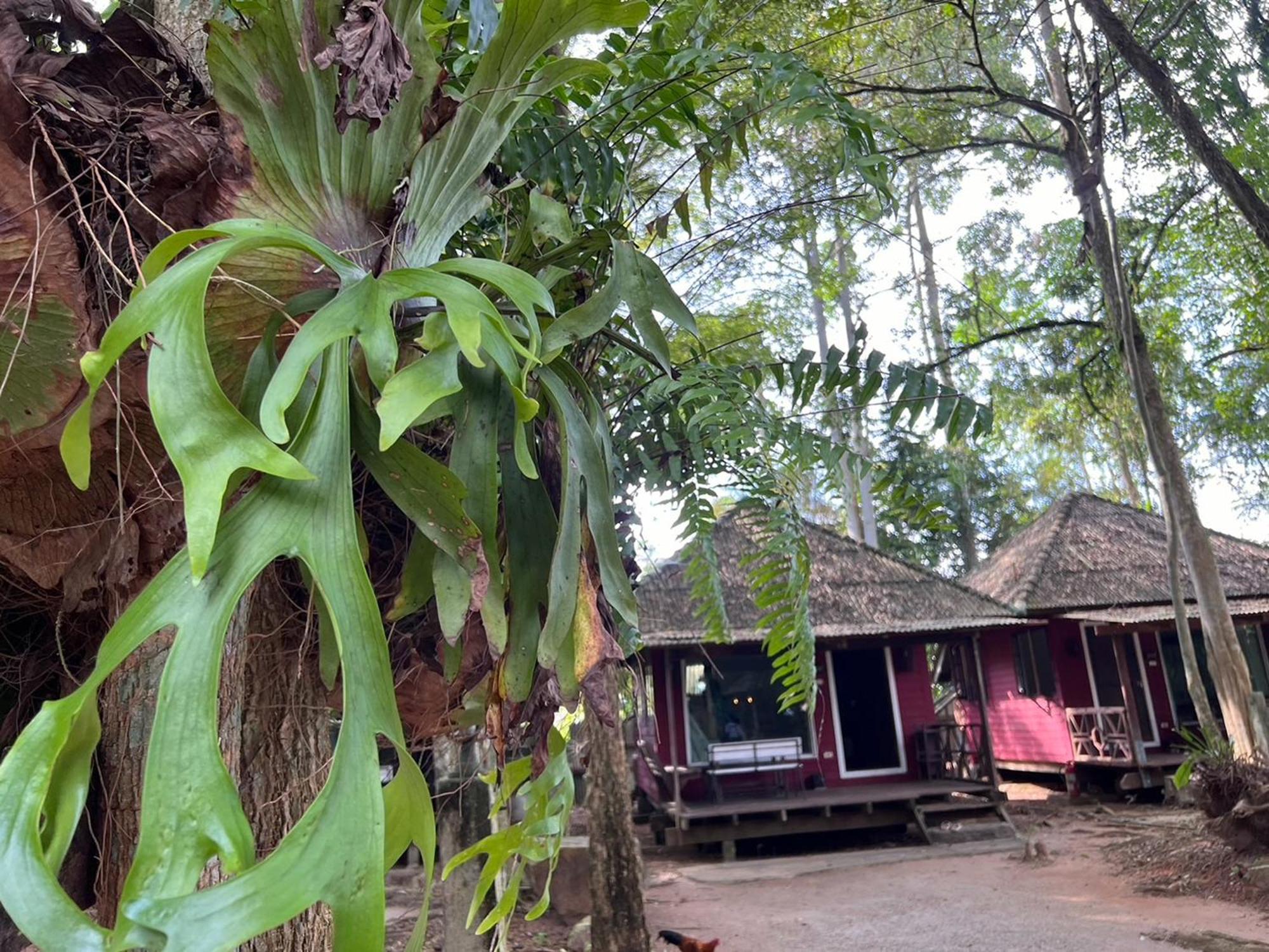 Pang Mai Resort Songkhla Exterior photo